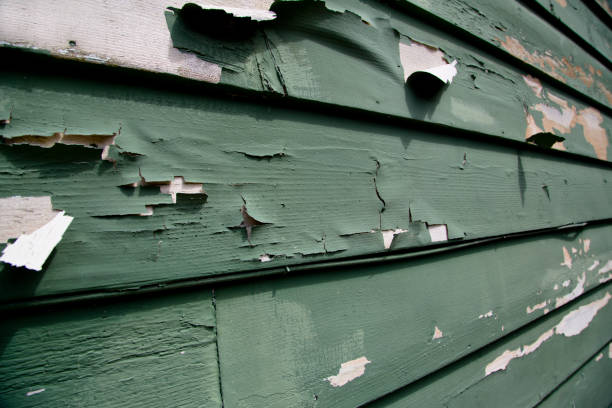 Best Foreclosure Cleanout  in Pendleton, IN