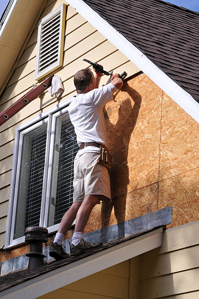 Best Construction Debris Removal  in Pendleton, IN